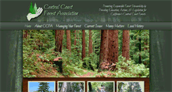 Desktop Screenshot of ccfassociation.org